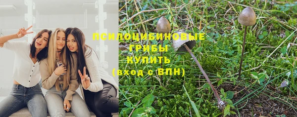амф Абдулино